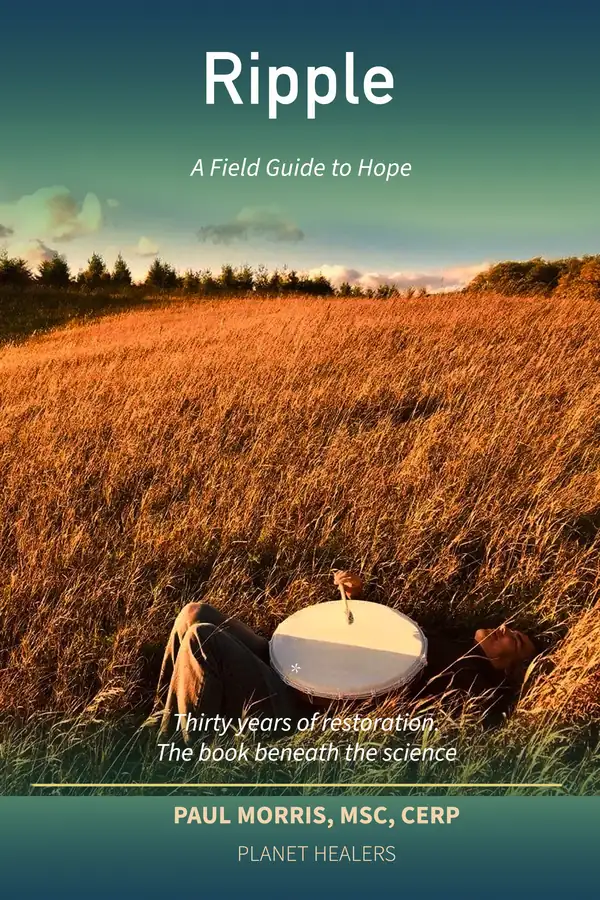 Ripple: A Field Guide to Hope